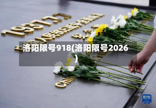 洛阳限号918(洛阳限号2026)-第2张图片
