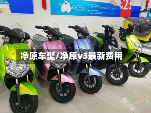 净原车型/净原v3最新费用-第2张图片