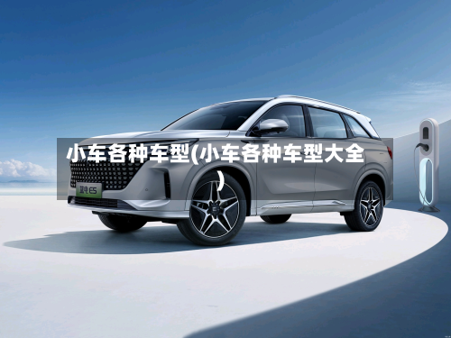 小车各种车型(小车各种车型大全)